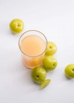 Sow Exotic Amla, Indian Gooseberry (Phyllanthus Emblica)