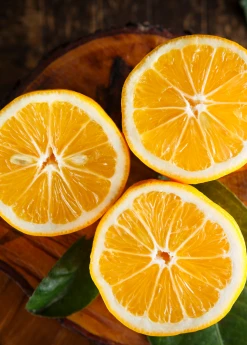 Sow Exotic Tropical Fruit & Spice Trees Meyer Lemon (Citrus × Meyeri)