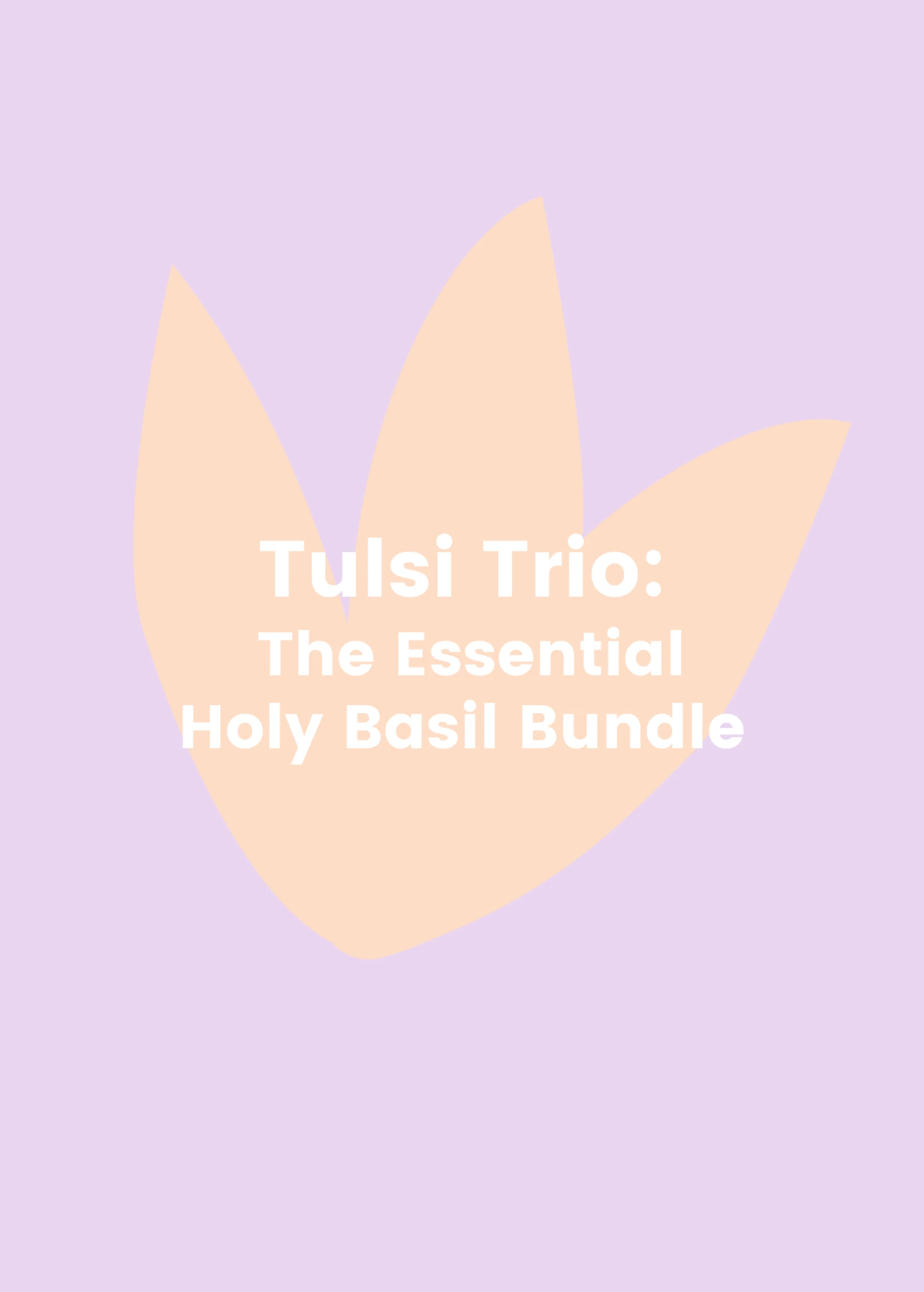 Sow Exotic Tulsi Trio: The Essential Holy Basil Bundle 1 Sow Exotic Tulsi Trio: The Essential Holy Basil Bundle