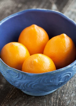 Sow Exotic Tropical Fruit & Spice Trees Meyer Lemon (Citrus × Meyeri)