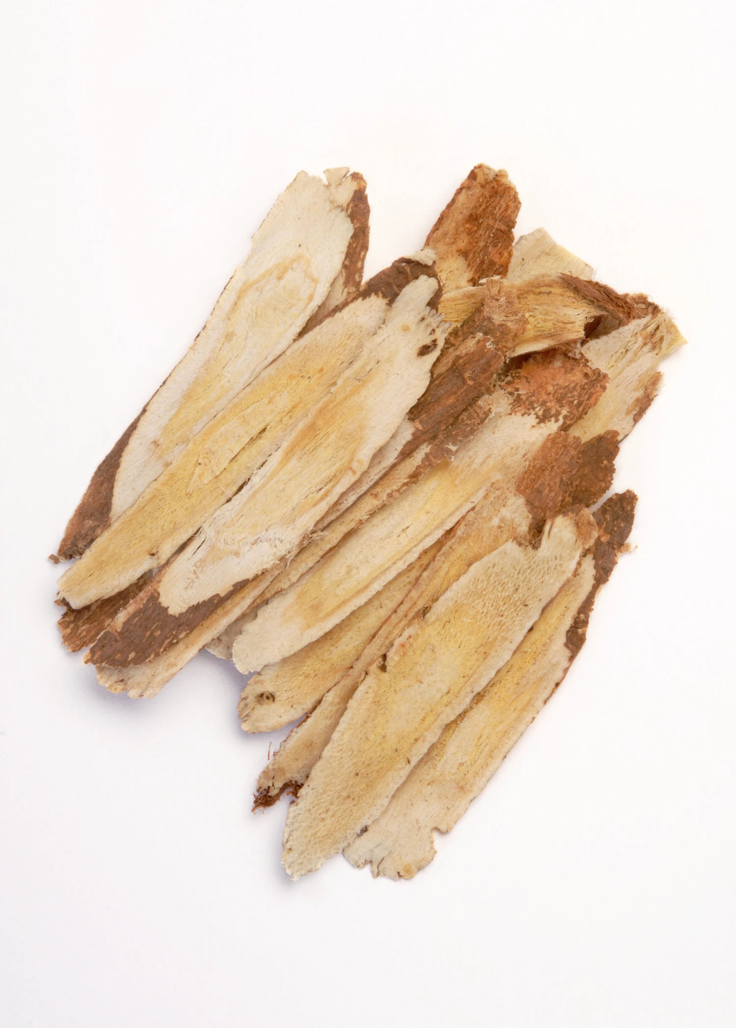 Sow Exotic Astragalus (Astragalus Membranaceus) 2 Sow Exotic Astragalus (Astragalus Membranaceus)