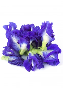 Sow Exotic Butterfly Pea (Clitoria Ternatea)