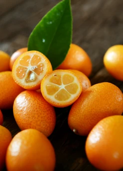 Sow Exotic Tropical Fruit & Spice Trees Nagami Kumquat (Citrus Margarita)