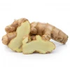 Sow Exotic Turmeric, White (Curcuma Zedoaria)