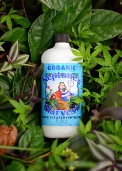Sow Exotic Garden Tools Neptune's Harvest Organic Fish & Seaweed Fertilizer 2-3-1