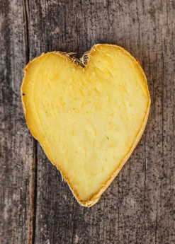 Sow Exotic Ginger, Yellow (Zingiber Officinale) Medicinal & Culinary Herbs 6 Sow Exotic Ginger, Yellow (Zingiber Officinale) Medicinal & Culinary Herbs