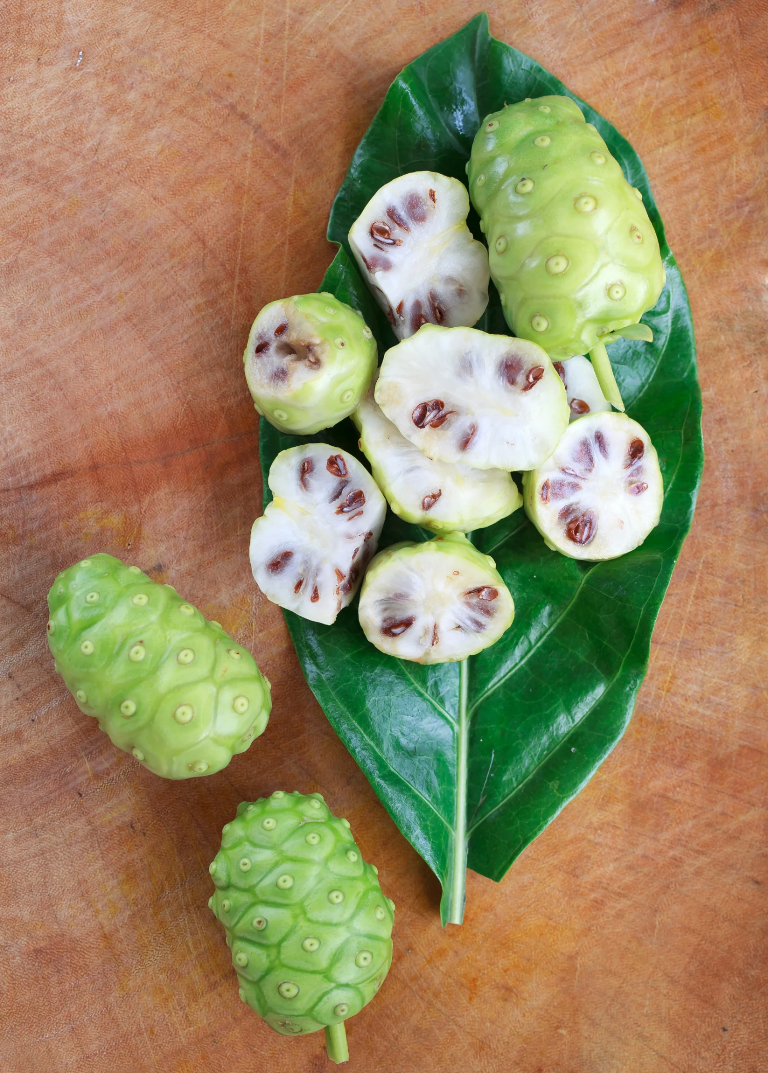 Sow Exotic Noni (Morinda Citrifolia) Tropical Fruit & Spice Trees 6 Sow Exotic Noni (Morinda Citrifolia) Tropical Fruit & Spice Trees