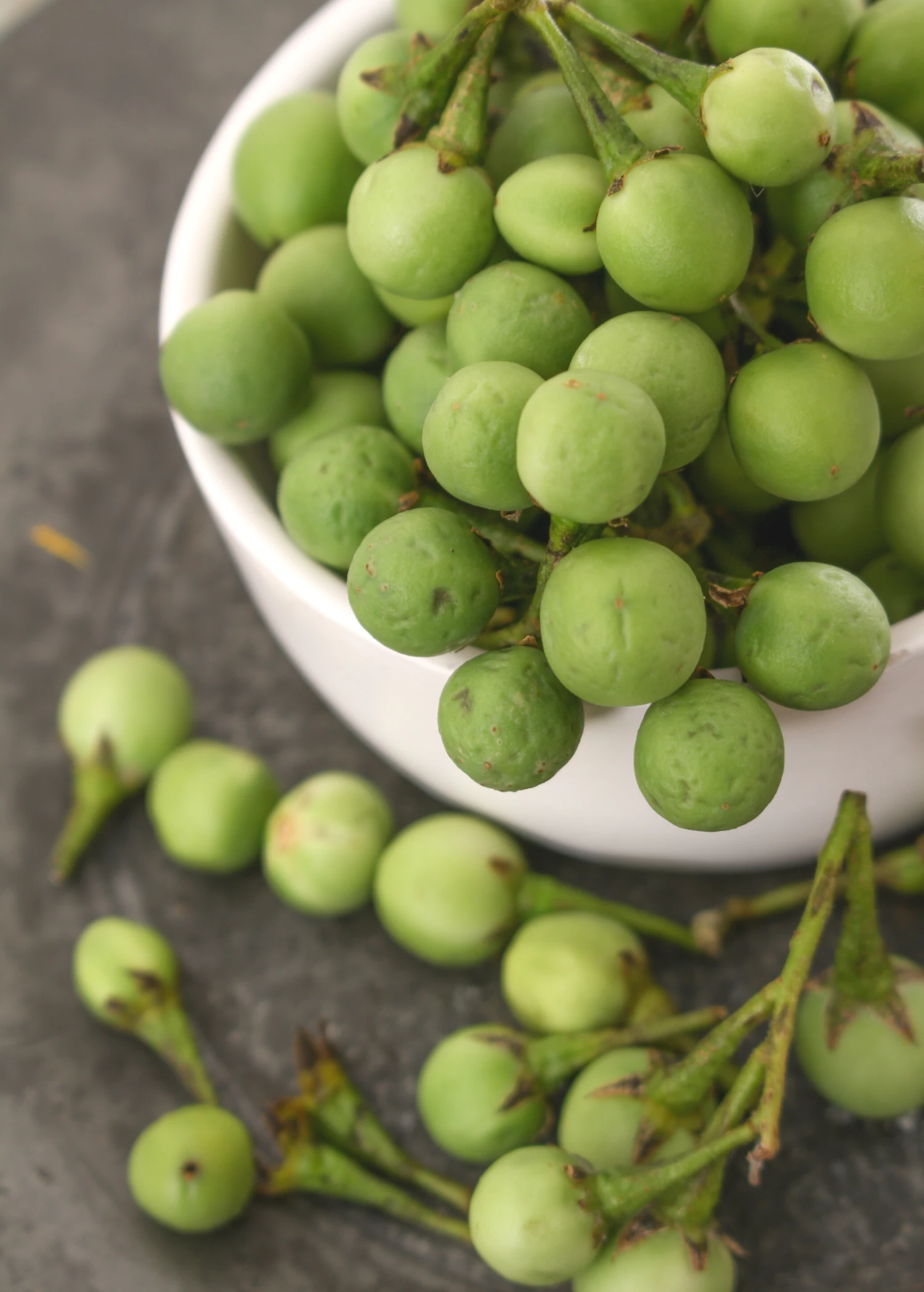 Sow Exotic Pea Eggplant (Solanum Torvum) 1 Sow Exotic Pea Eggplant (Solanum Torvum)