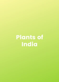 Sow Exotic Plants Of India Bundle ???????? New Arrivals