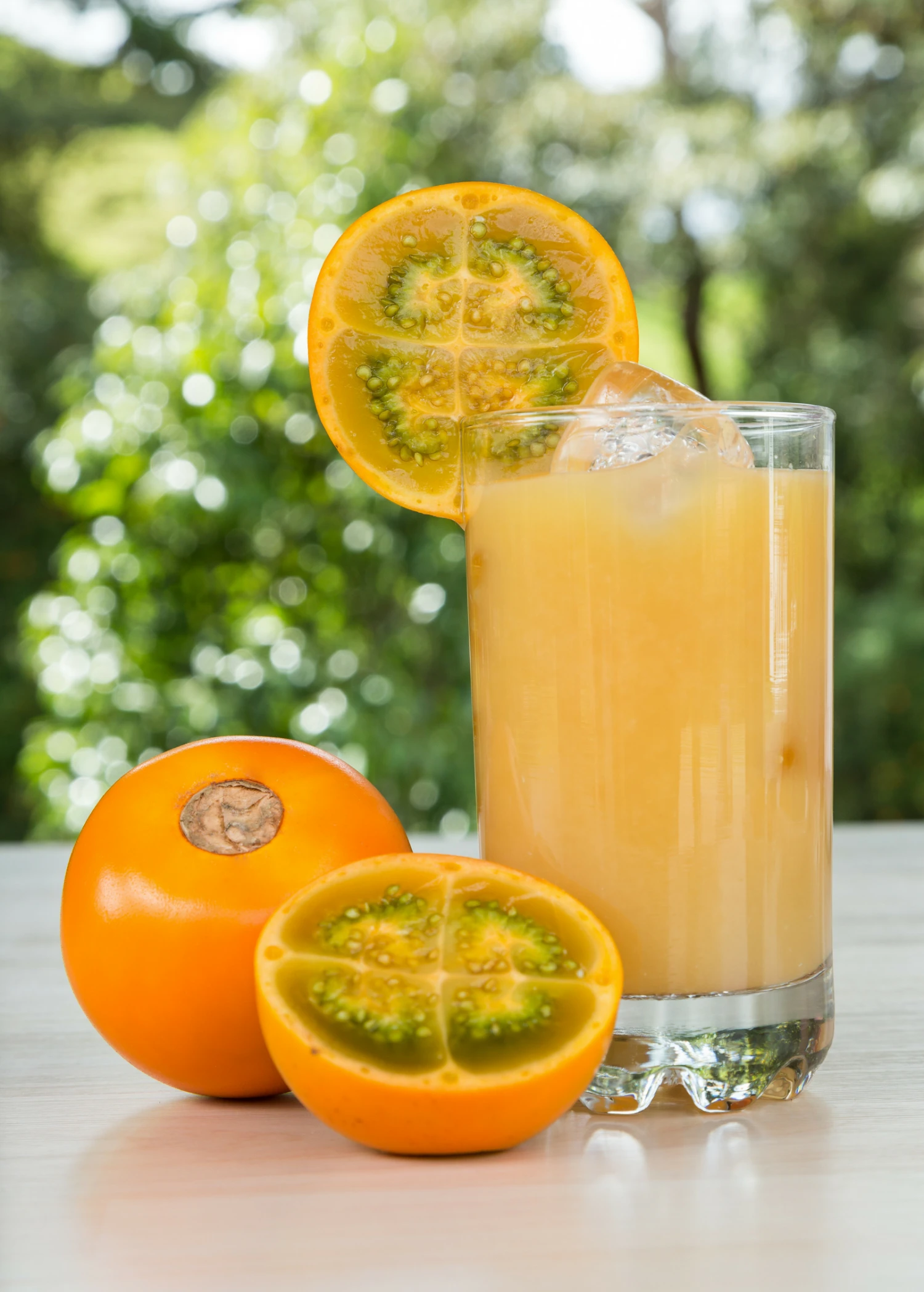 Sow Exotic Lulo, Naranjilla (Solanum Quitoense) Rare Fruiting Plants 1 Sow Exotic Lulo, Naranjilla (Solanum Quitoense) Rare Fruiting Plants