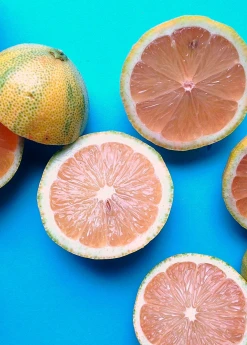 Sow Exotic Variegated Pink Lemon (Citrus × Limon) Tropical Fruit & Spice Trees