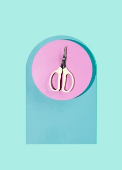 Terrebonne Angled Blade Fruit Scissor Garden Tools