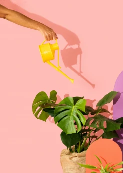 Terrebonne Haws Handy Watering Can Garden Tools