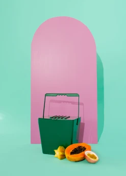 Terrebonne Garden Tools Mini Kitchen Compost Caddy