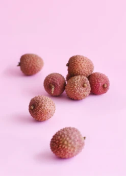 Sow Exotic Lychee 'Brewster' (Litchi Chinensis) Tropical Fruit & Spice Trees
