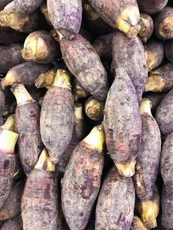 Sow Exotic Taro, Red (Colocasia Esculenta)