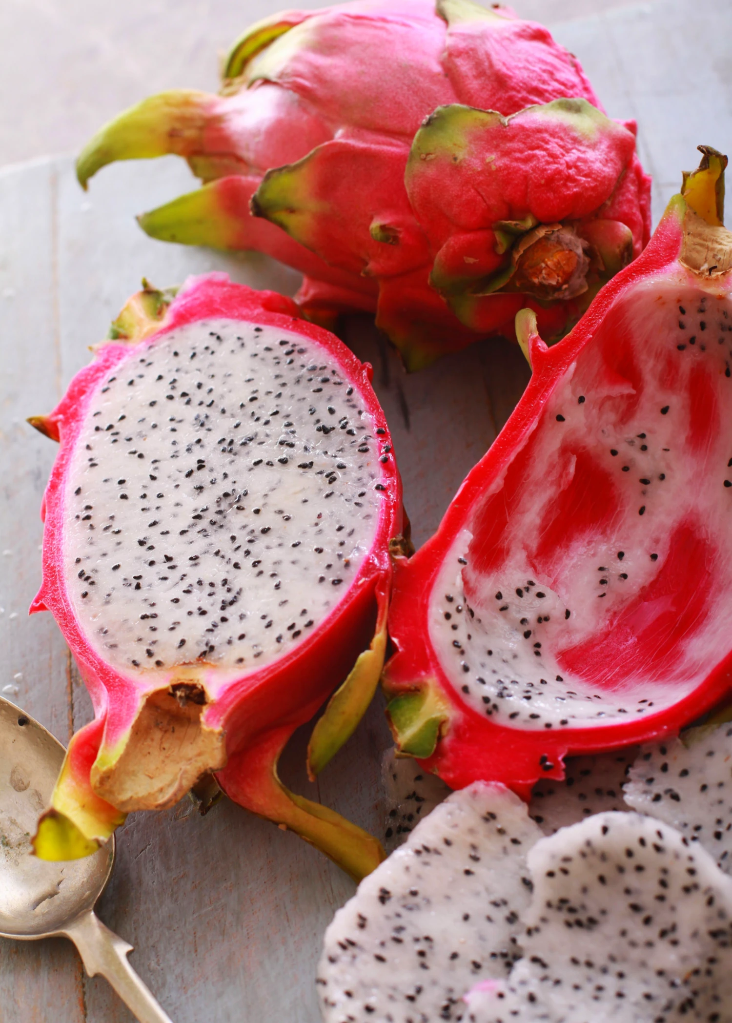 Sow Exotic Rare Fruiting Plants Dragon Fruit, White 'Vietnamese Jaina' (Hylocereus Undatus) 4 Sow Exotic Rare Fruiting Plants Dragon Fruit, White 'Vietnamese Jaina' (Hylocereus Undatus)