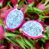 Sow Exotic New Arrivals White Dragon Fruit (Pitaya) Box