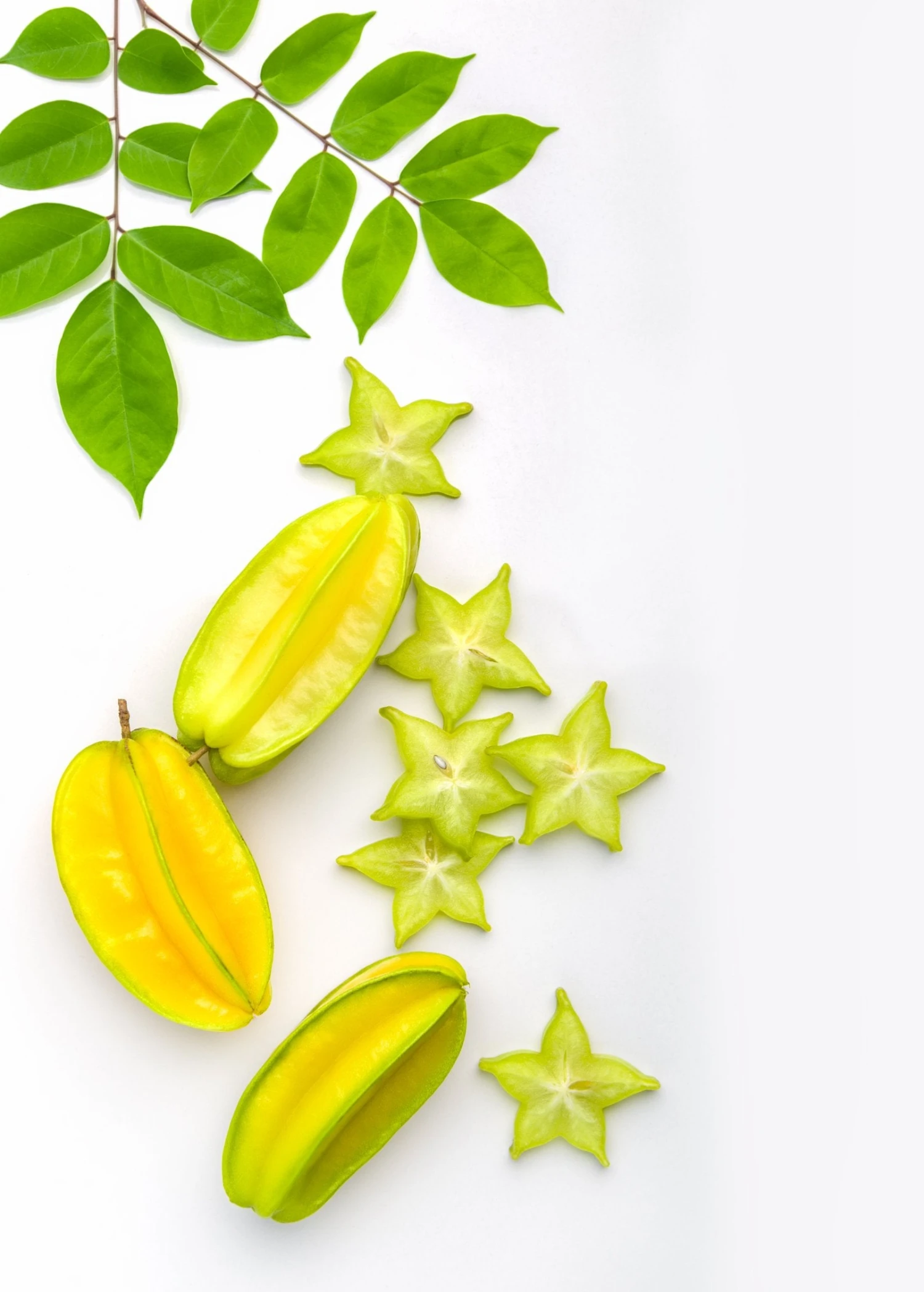Sow Exotic Tropical Fruit & Spice Trees Star Fruit 'Kari' (Averrhoa Carambola) 2 Sow Exotic Tropical Fruit & Spice Trees Star Fruit 'Kari' (Averrhoa Carambola)
