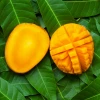 Sow Exotic Mango 'Angie' (Mangifera Indica) Tropical Fruit & Spice Trees