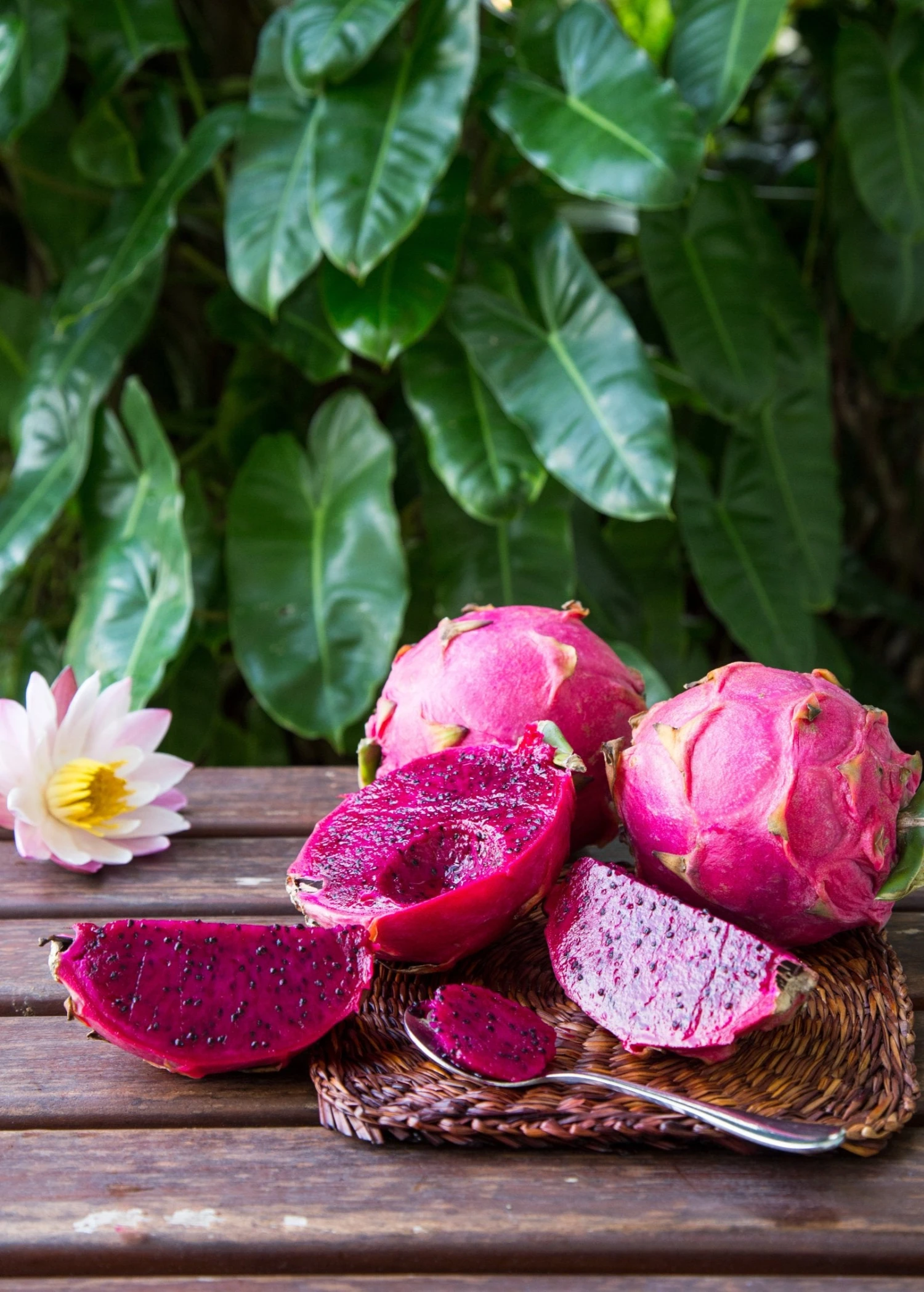Sow Exotic New Arrivals Red Dragon Fruit (Pitaya) Box