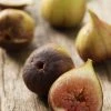 Sow Exotic Fig 'Brown Turkey' (Ficus Carica)
