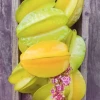 Sow Exotic Star Fruit 'Kajang' (Averrhoa Carambola)