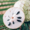 Sow Exotic Cherimoya (Annona Cherimola) Tropical Fruit & Spice Trees