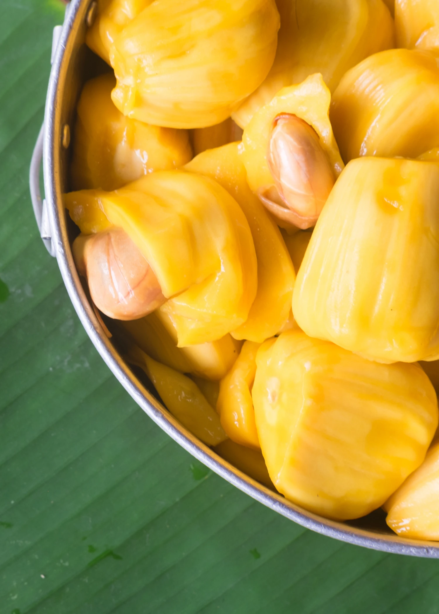 Sow Exotic Tropical Fruit & Spice Trees Jackfruit 'Crunchy' (Artocarpus Heterophyllus) 5 Sow Exotic Tropical Fruit & Spice Trees Jackfruit 'Crunchy' (Artocarpus Heterophyllus)