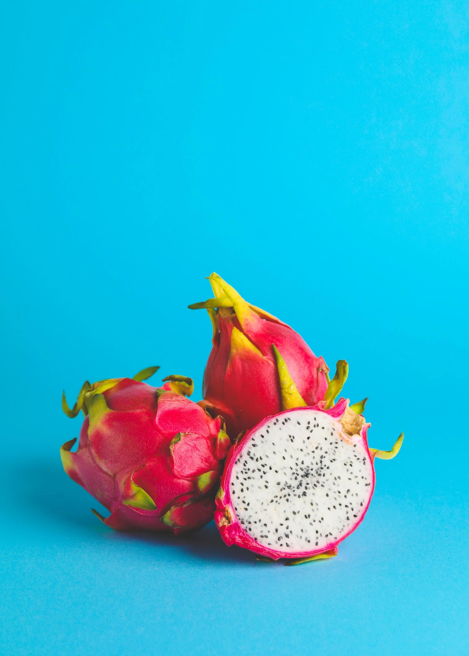 Sow Exotic Rare Fruiting Plants Dragon Fruit, White 'Vietnamese Jaina' (Hylocereus Undatus) 2 Sow Exotic Rare Fruiting Plants Dragon Fruit, White 'Vietnamese Jaina' (Hylocereus Undatus)