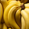 Sow Exotic Going Bananas: October Banana Bundle Tropical Fruit & Spice Trees