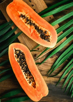 Sow Exotic Papaya, 'Dwarf Red Lady' (Carica Papaya) Tropical Fruit & Spice Trees