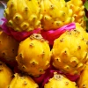 Sow Exotic New Arrivals Yellow Dragon Fruit (Pitaya) Box