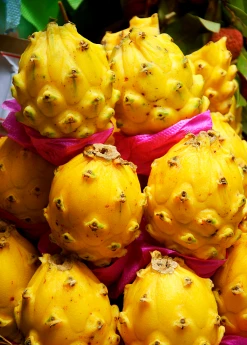 Sow Exotic New Arrivals Yellow Dragon Fruit (Pitaya) Box