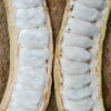 Sow Exotic Ice Cream Bean (Inga Edulis) Tropical Fruit & Spice Trees