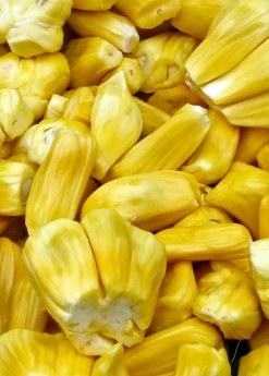 Sow Exotic Jackfruit 'Golden Nugget' (Artocarpus Heterophyllus) Tropical Fruit & Spice Trees