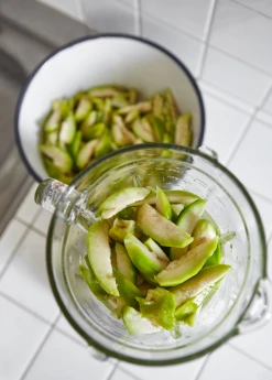 Sow Exotic June Plum (Spondias Dulcis) Tropical Fruit & Spice Trees