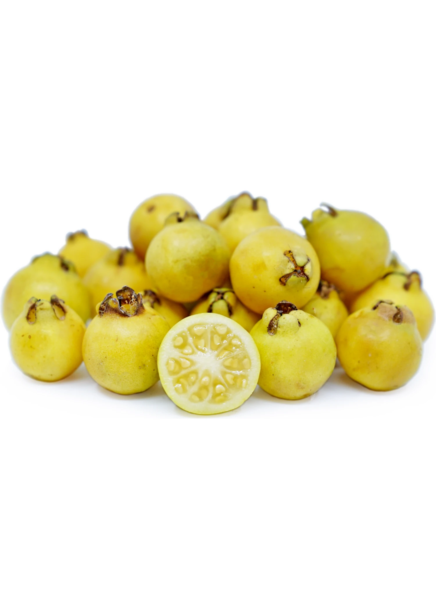 Sow Exotic Tropical Fruit & Spice Trees Guava, Lemon (Psidium Littorale) 1 Sow Exotic Tropical Fruit & Spice Trees Guava, Lemon (Psidium Littorale)