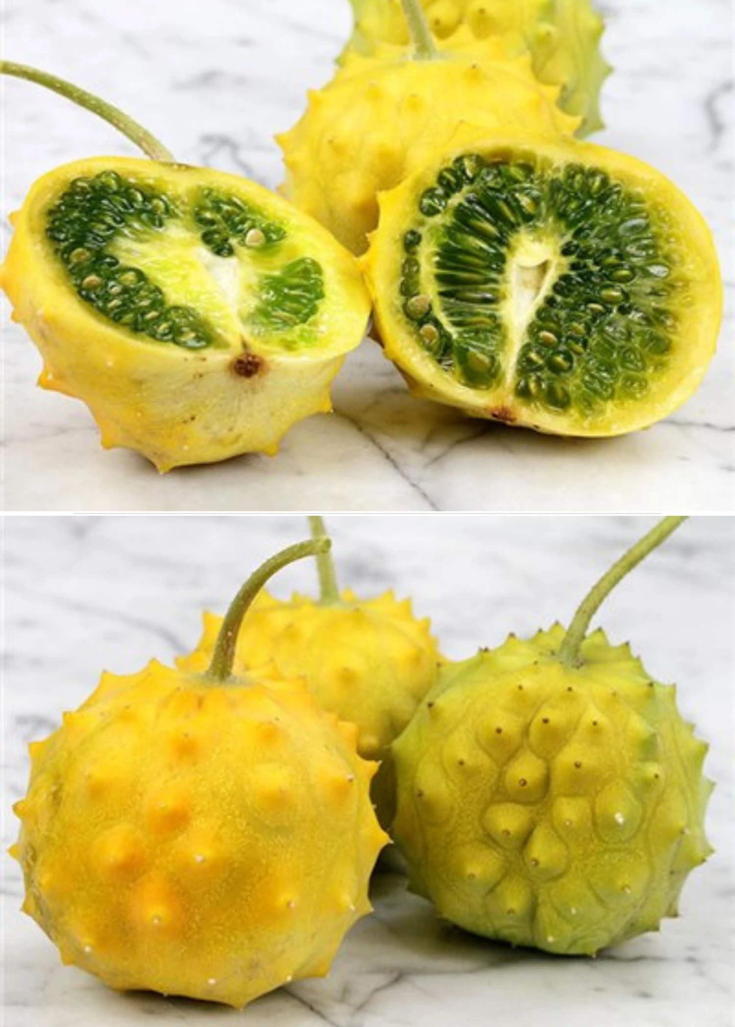 Sow Exotic Kiwano, Yellow Round (Cucumis Metuliferus) 1 Sow Exotic Kiwano, Yellow Round (Cucumis Metuliferus)