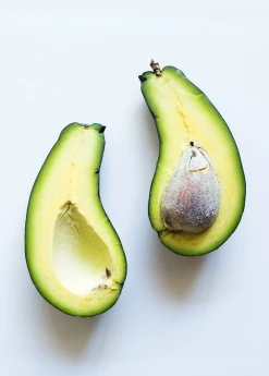 Sow Exotic Avocado 'Mexicola' (Persea Americana) Tropical Fruit & Spice Trees