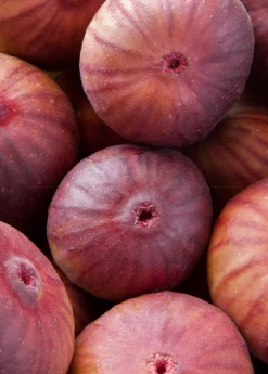 Sow Exotic Fig 'Royal Vineyard' (Ficus Carica) Tropical Fruit & Spice Trees