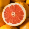 Sow Exotic Tropical Fruit & Spice Trees Ruby Red Grapefruit (Citrus × Paradisi)