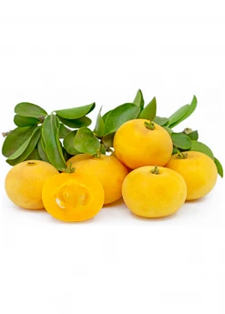 Sow Exotic Tropical Fruit & Spice Trees Kei Apple (Dovyalis Caffra)