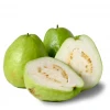 Sow Exotic Tropical Fruit & Spice Trees Guava, Thai White (Psidium Guajava)
