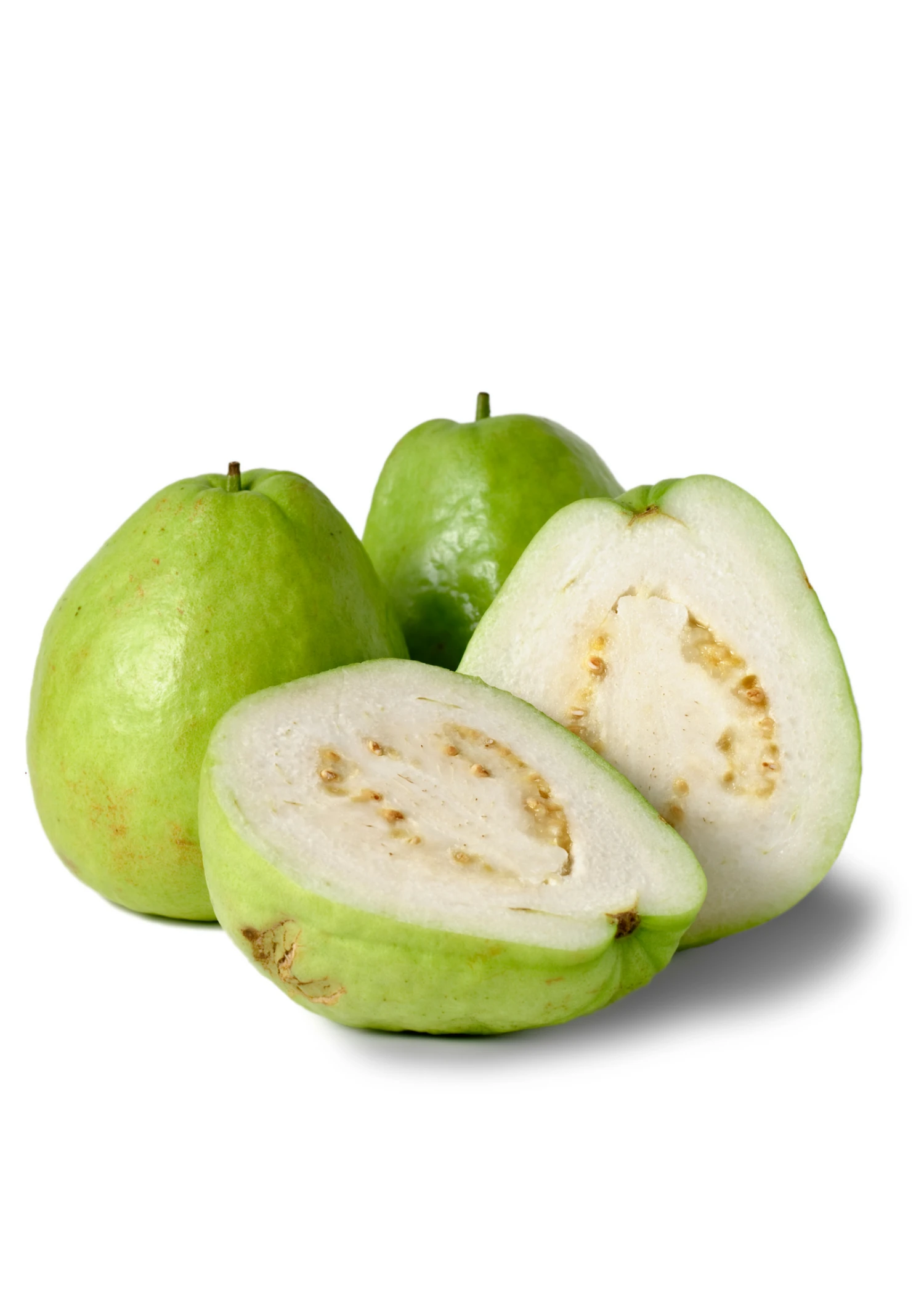 Sow Exotic Tropical Fruit & Spice Trees Guava, Thai White (Psidium Guajava) 1 Sow Exotic Tropical Fruit & Spice Trees Guava, Thai White (Psidium Guajava)