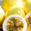 Sow Exotic Rare Fruiting Plants Passion Fruit 'Yellow’ (Passiflora Edulis Flavicarpa)